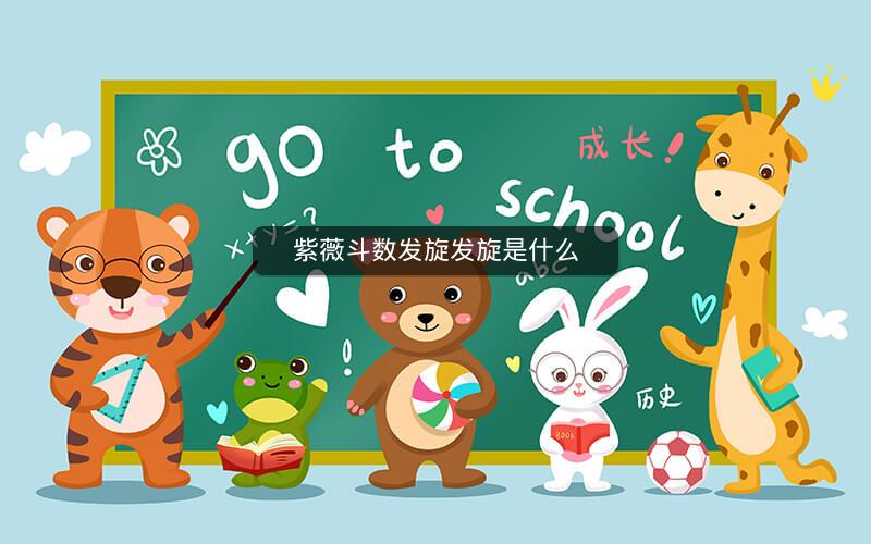 紫薇斗数发旋发旋是什么