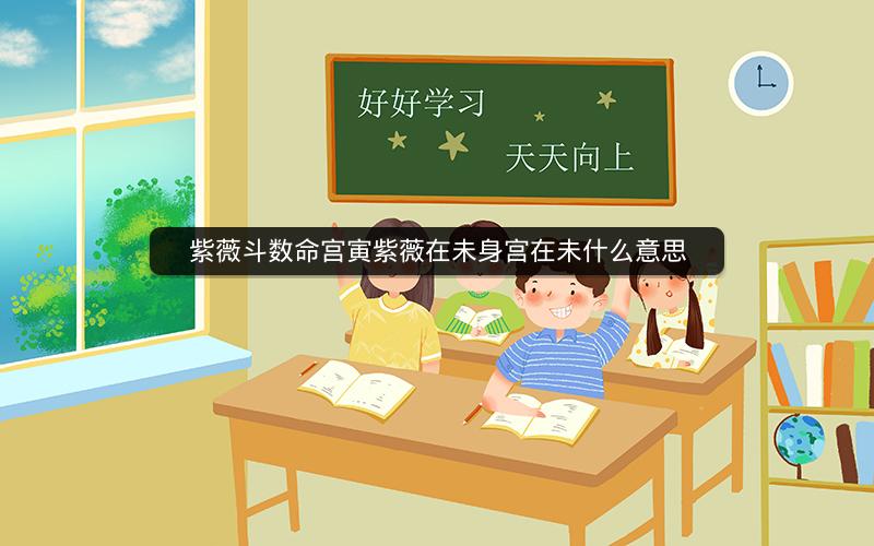 紫薇斗数命宫寅紫薇在未身宫在未什么意思