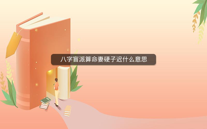 八字盲派算命妻硬子迟什么意思