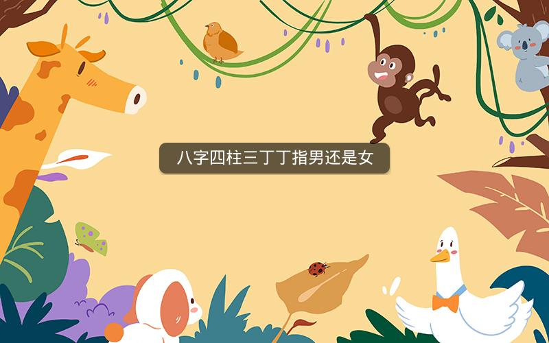 八字四柱三丁丁指男还是女