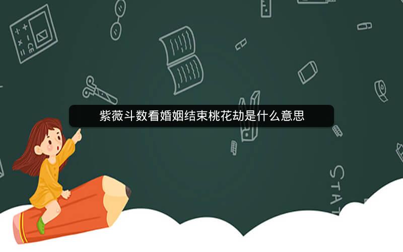 紫薇斗数看婚姻结束桃花劫是什么意思