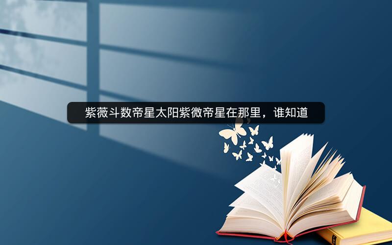紫薇斗数帝星太阳紫微帝星在那里,谁知道
