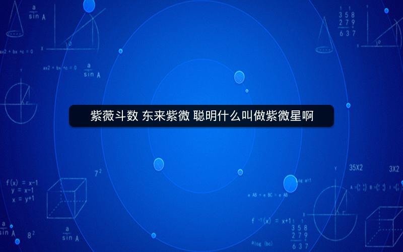 紫薇斗数 东来紫微 聪明什么叫做紫微星啊