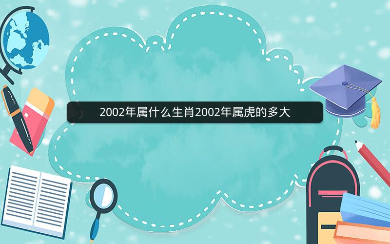 2002年属什么生肖2002年属虎的多大