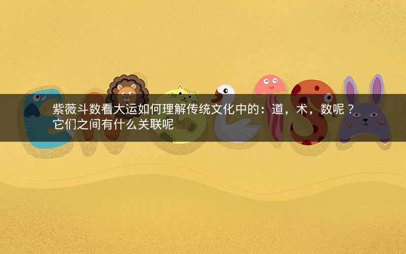 紫薇斗数看大运如何理解传统文化中的：道，术，数呢？它们之间有什么关联呢