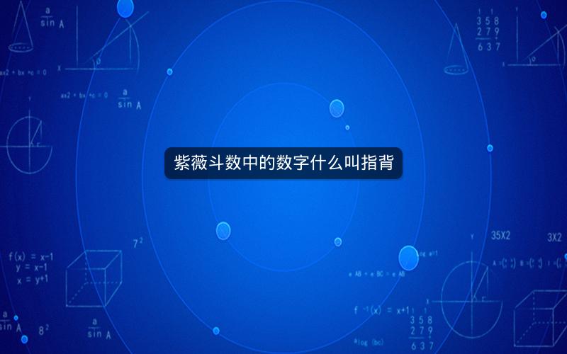 紫薇斗数中的数字什么叫指背