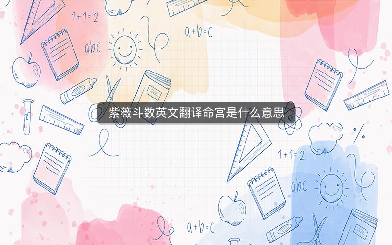 紫薇斗数英文翻译命宫是什么意思