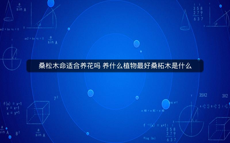 桑松木命适合养花吗 养什么植物最好桑柘木是什么