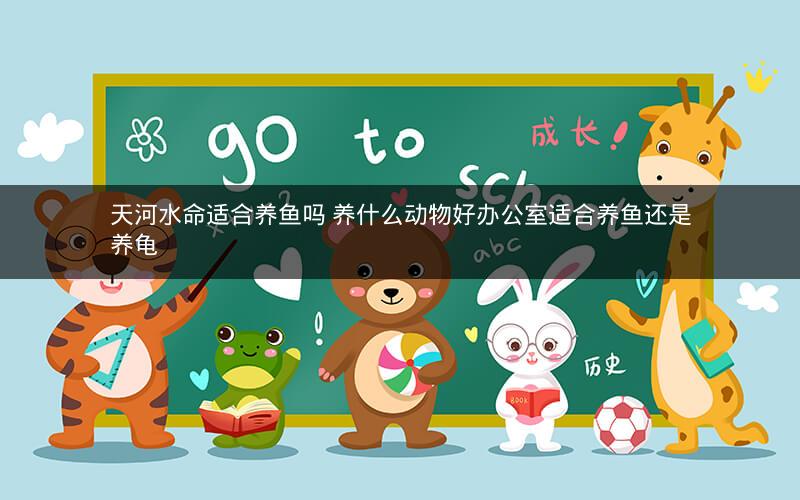 天河水命适合养鱼吗 养什么动物好办公室适合养鱼还是养龟
