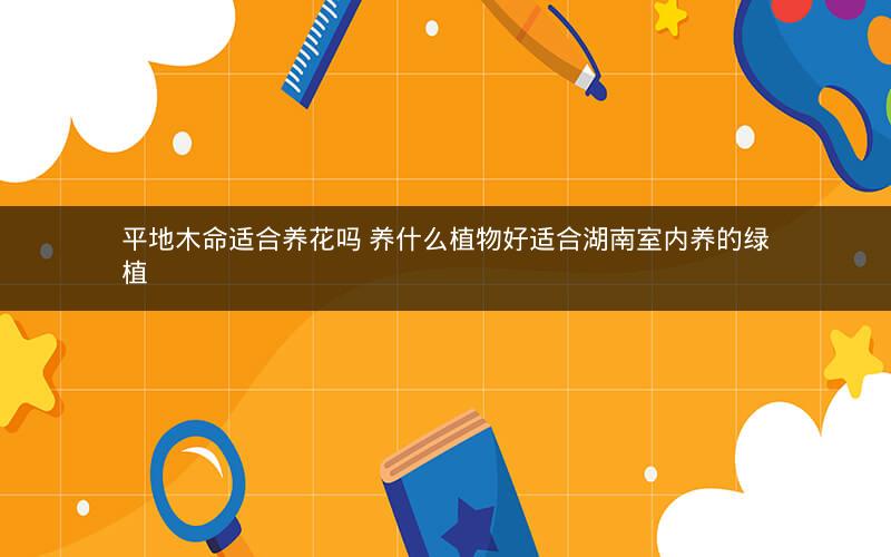 平地木命适合养花吗 养什么植物好适合湖南室内养的绿植