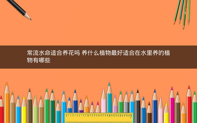 常流水命适合养花吗 养什么植物最好适合在水里养的植物有哪些