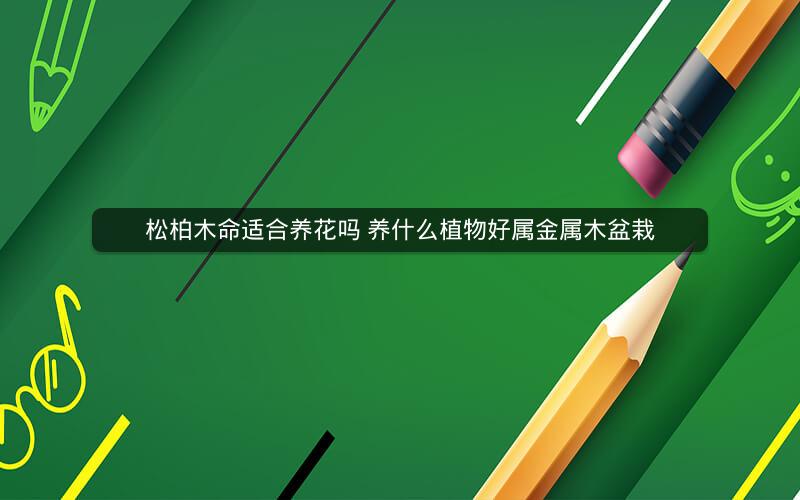 松柏木命适合养花吗 养什么植物好属金属木盆栽