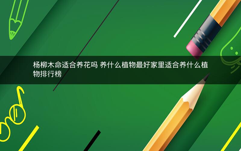 杨柳木命适合养花吗 养什么植物最好家里适合养什么植物排行榜
