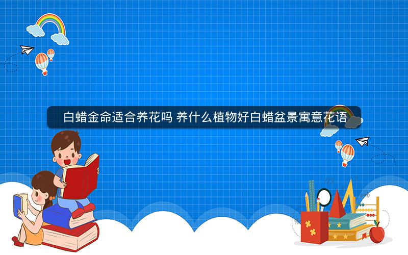 白蜡金命适合养花吗 养什么植物好白蜡盆景寓意花语