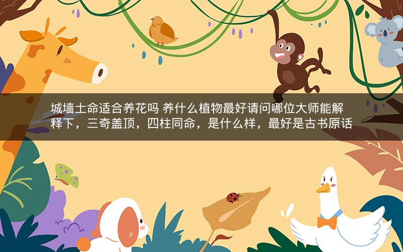 城墙土命适合养花吗 养什么植物最好请问哪位大师能解释下，三奇盖顶，四柱同命，是什么样，最好是古书原话