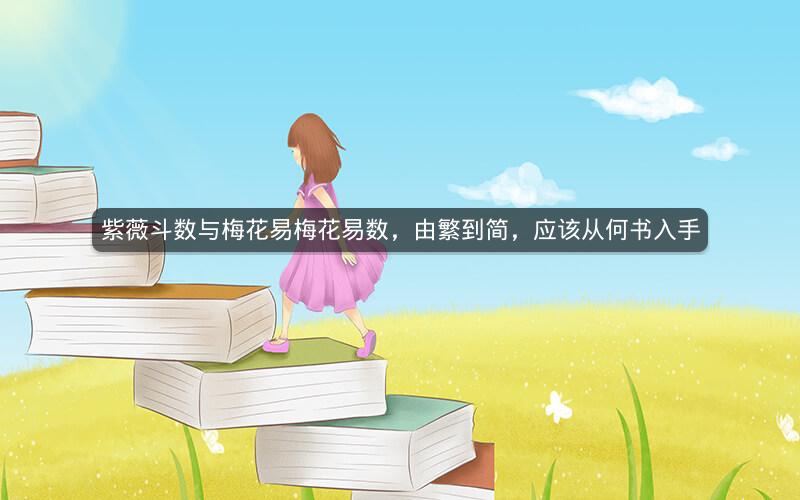 紫薇斗数与梅花易梅花易数，由繁到简，应该从何书入手