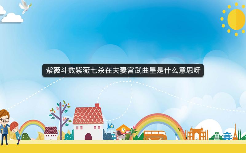 紫薇斗数紫薇七杀在夫妻宫武曲星是什么意思呀