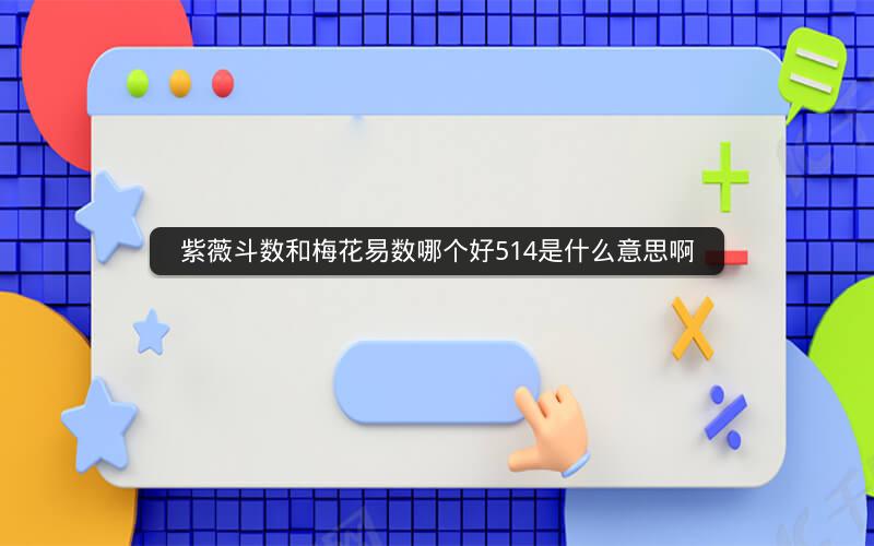 紫薇斗数和梅花易数哪个好514是什么意思啊