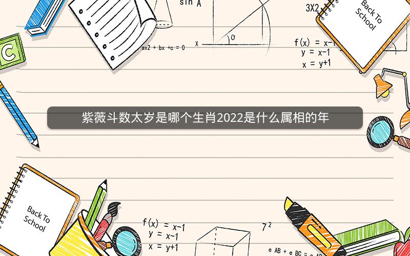 紫薇斗数太岁是哪个生肖2022是什么属相的年