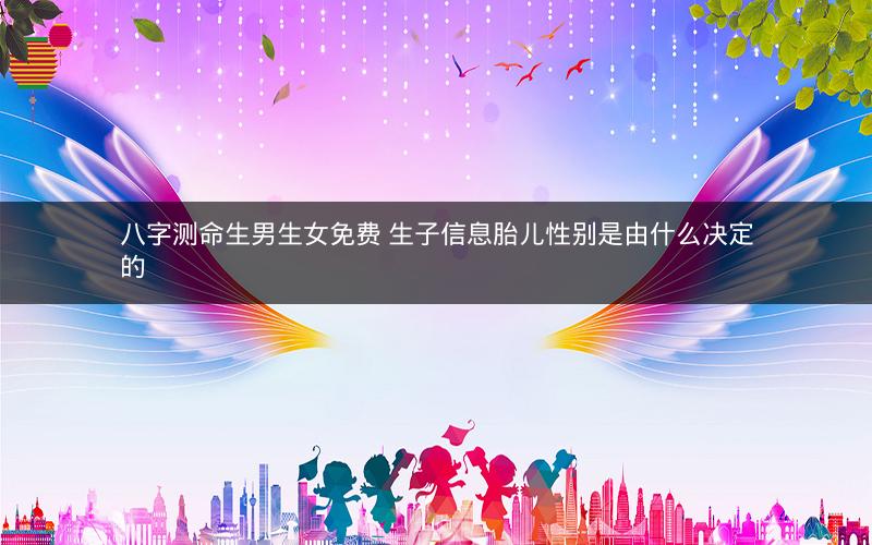 八字测命生男生女免费 生子信息胎儿性别是由什么决定的