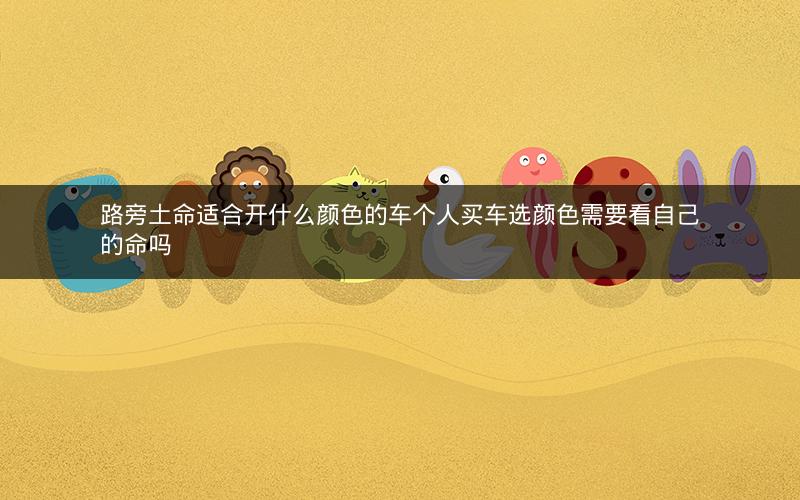 路旁土命适合开什么颜色的车个人买车选颜色需要看自己的命吗