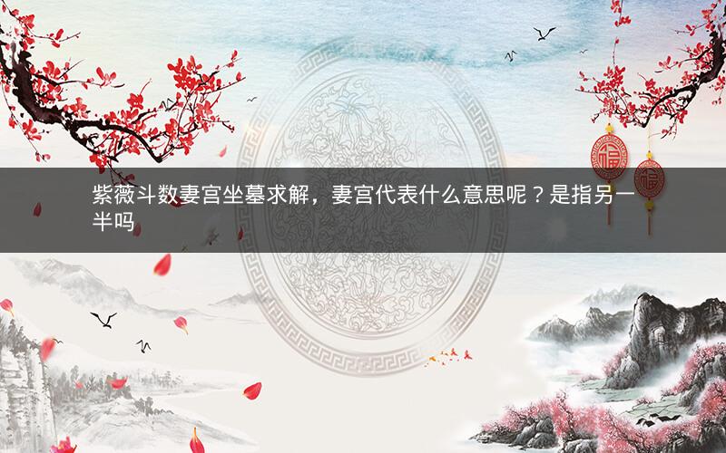 紫薇斗数妻宫坐墓求解，妻宫代表什么意思呢？是指另一半吗