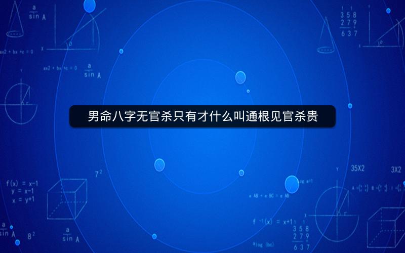 男命八字无官杀只有才什么叫通根见官杀贵