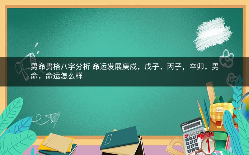 男命贵格八字分析 命运发展庚戍，戊子，丙子，辛卯，男命，命运怎么样