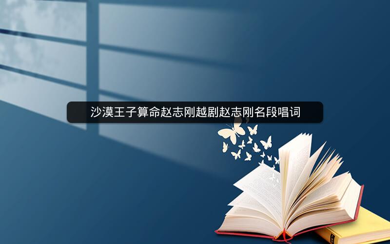 沙漠王子算命赵志刚越剧赵志刚名段唱词
