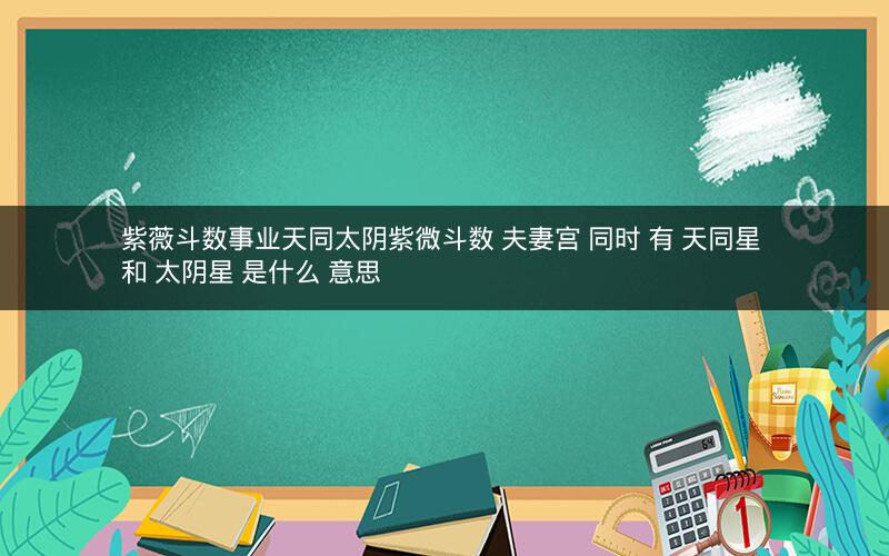 紫薇斗数事业天同太阴紫微斗数 夫妻宫 同时 有 天同星 和 太阴星 是什么 意思