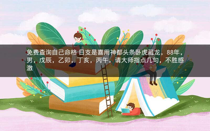 免费查询自己命格 日支是喜用神都头条卧虎藏龙，88年，男，戊辰，乙卯，丁亥，丙午，请大师指点几句，不胜感激