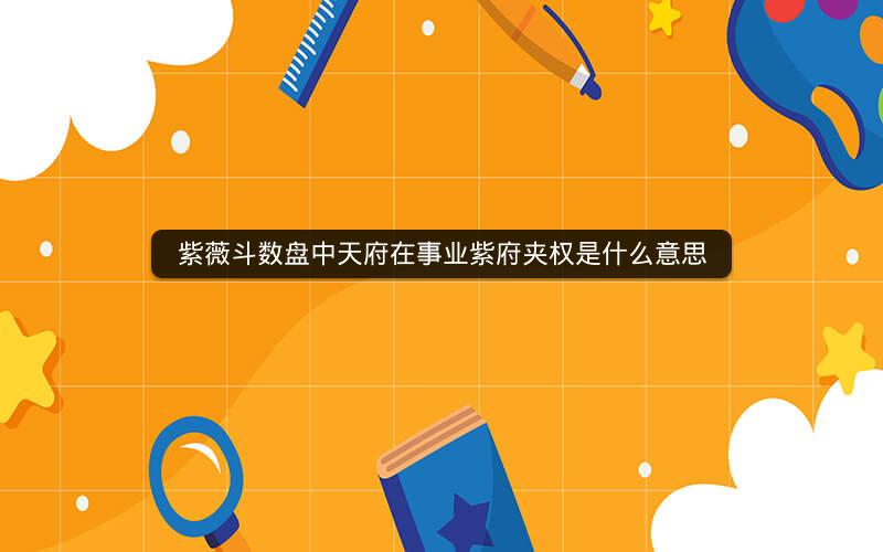 紫薇斗数盘中天府在事业紫府夹权是什么意思