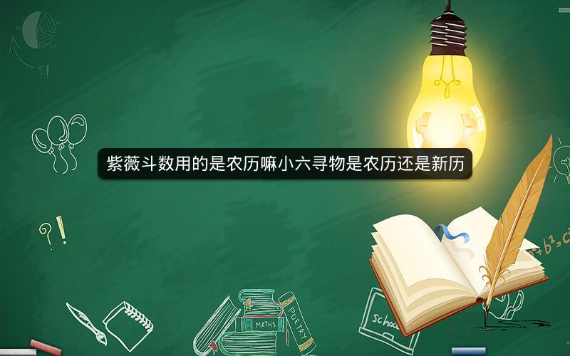 紫薇斗数用的是农历嘛小六寻物是农历还是新历