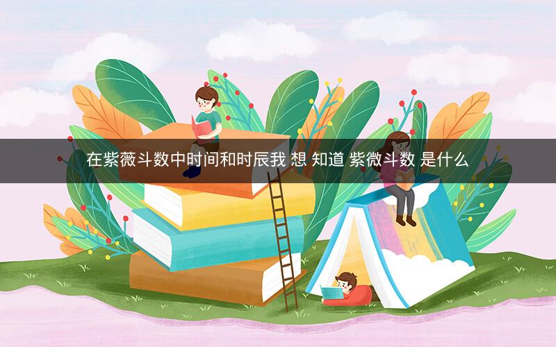 在紫薇斗数中时间和时辰我 想 知道 紫微斗数 是什么