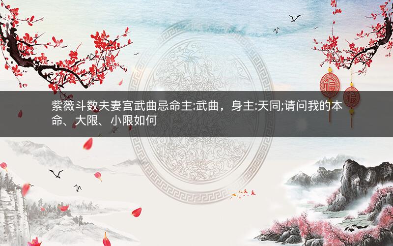 紫薇斗数夫妻宫武曲忌命主:武曲,身主:天同;请问我的本命、大限、小限如何