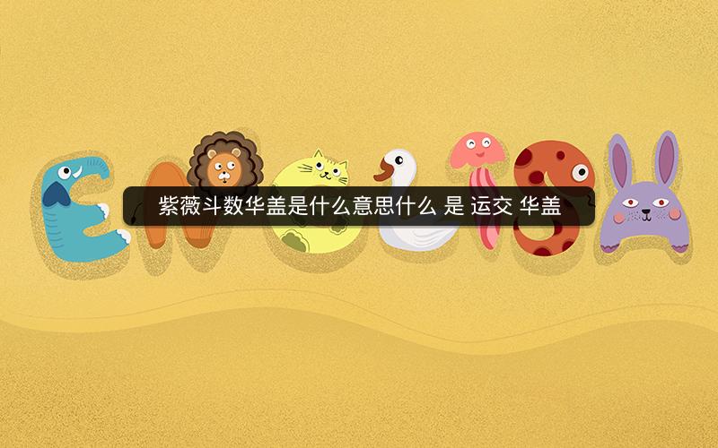 紫薇斗数华盖是什么意思什么 是 运交 华盖