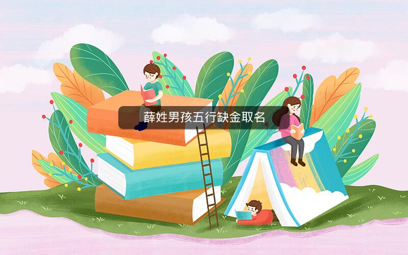 薛姓男孩五行缺金取名