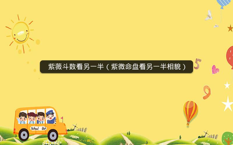 紫薇斗数看另一半(紫微命盘看另一半相貌) 紫薇斗数看另一半(紫微命盘看另一半相貌)