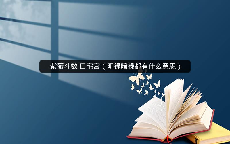 紫薇斗数 田宅宫(明禄暗禄都有什么意思) 紫薇斗数 田宅宫(明禄暗禄都有什么意思)