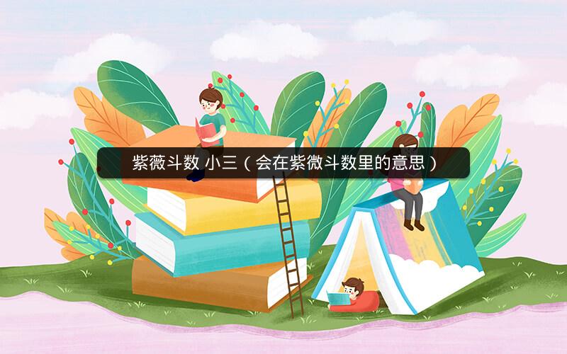 紫薇斗数 小三(会在紫微斗数里的意思) 紫薇斗数 小三(会在紫微斗数里的意思)