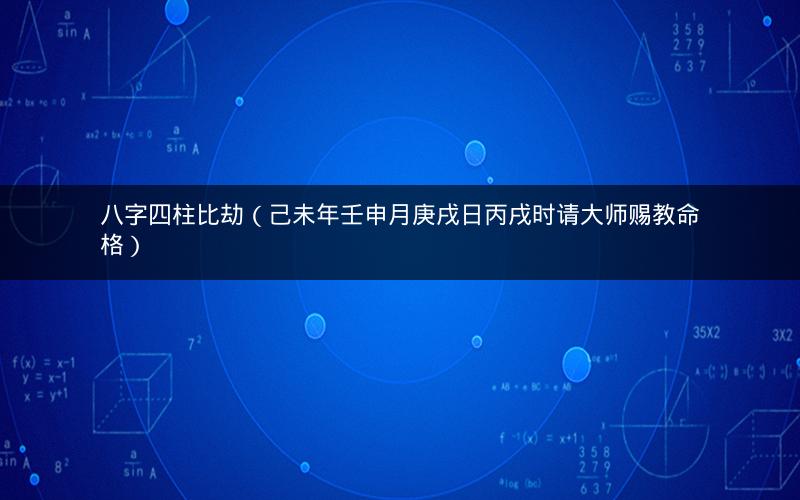 八字四柱比劫（己未年壬申月庚戌日丙戌时请大师赐教命格）
