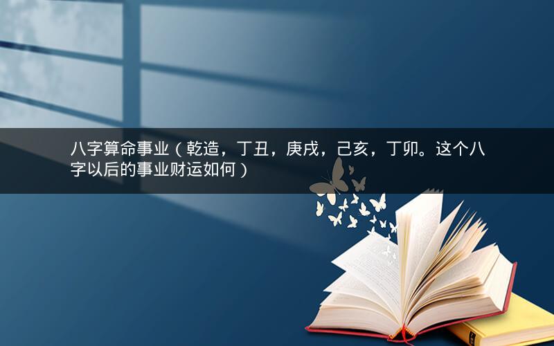 八字算命事业（乾造，丁丑，庚戌，己亥，丁卯。这个八字以后的事业财运如何）