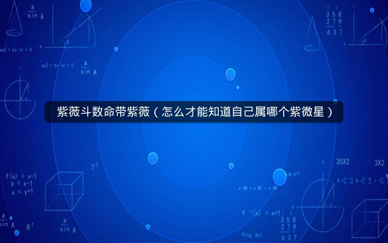 紫薇斗数命带紫薇(怎么才能知道自己属哪个紫微星) 紫薇斗数命带紫薇(怎么才能知道自己属哪个紫微星)