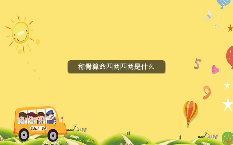 称骨算命四两四两是什么