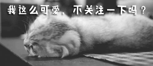 史上最穷电视台！（史上最穷电视台节目）