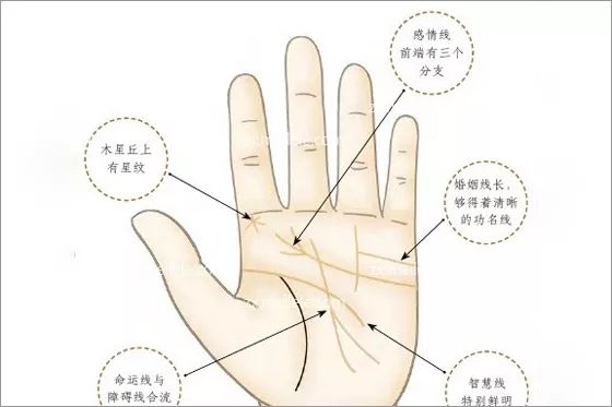 手相:与财运关系密切的典型纹路(手相:与财运关系密切的典型纹路是) 手相:与财运关系密切的典型纹路(手相:与财运关系密切的典型纹路是)