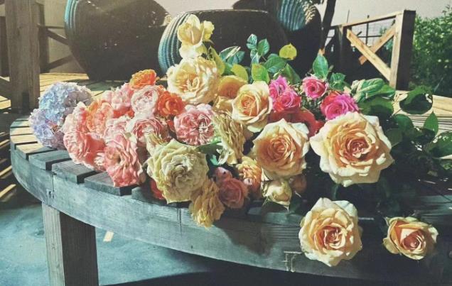 提升幸福!(提升幸福感的小物件) 提升幸福!(提升幸福感的小物件)