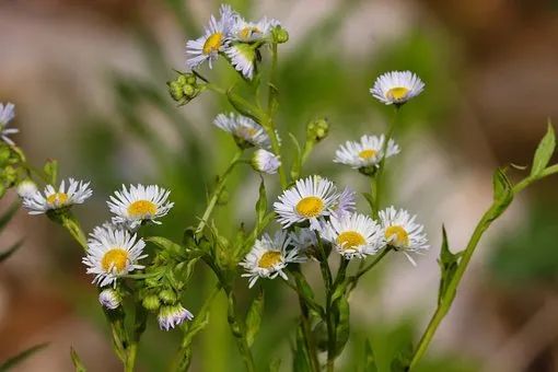 做个聪明的新老人!(做个聪明的新老人(建议收藏)) 做个聪明的新老人!(做个聪明的新老人(建议收藏))