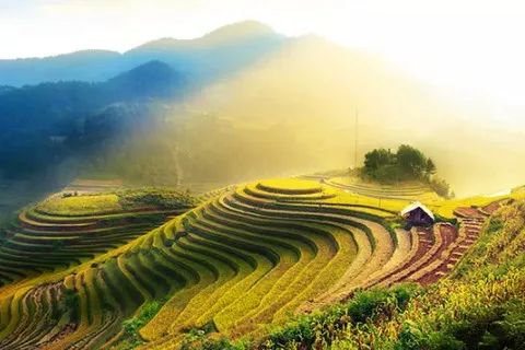 算子女缘分看生男生女哪几日出生上等命 农历这几个日子出生的人 算子女缘分看生男生女哪几日出生上等命 农历这几个日子出生的人