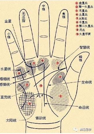 相术：手相揭秘男人婚恋运势【多图】